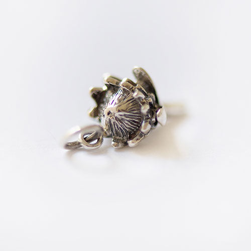 Protea Charm
